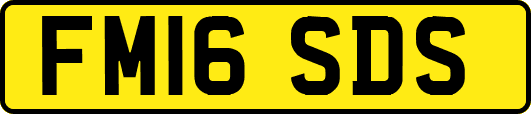FM16SDS