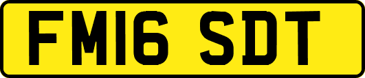 FM16SDT