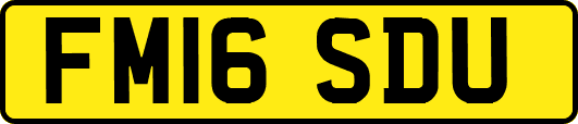 FM16SDU