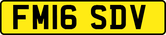 FM16SDV