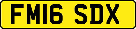 FM16SDX