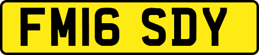 FM16SDY