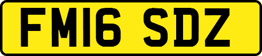 FM16SDZ