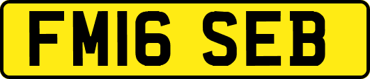 FM16SEB