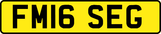 FM16SEG