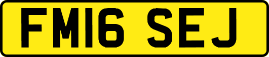 FM16SEJ