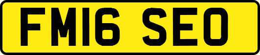 FM16SEO