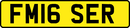 FM16SER