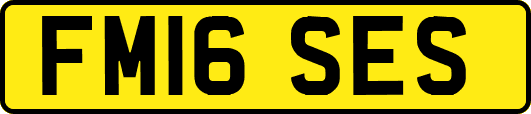 FM16SES