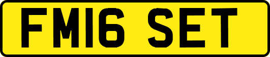 FM16SET