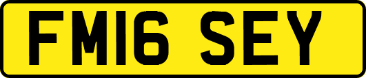 FM16SEY