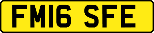 FM16SFE