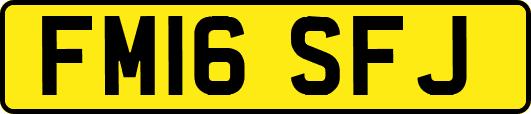 FM16SFJ