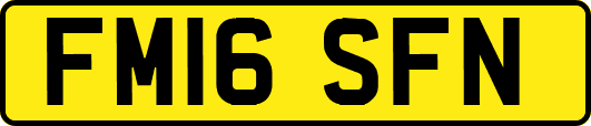 FM16SFN