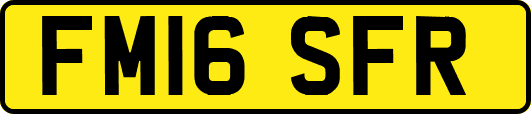 FM16SFR