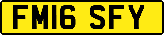 FM16SFY