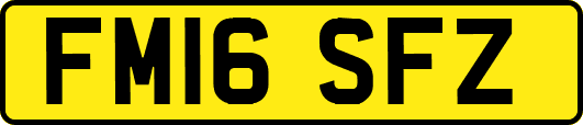 FM16SFZ