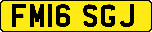 FM16SGJ