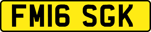 FM16SGK