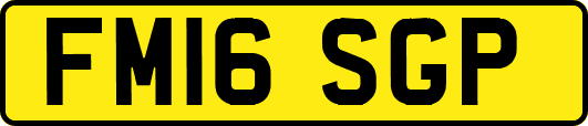FM16SGP