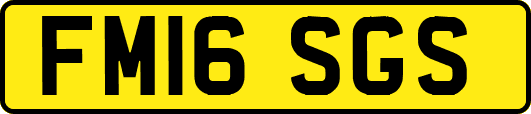 FM16SGS