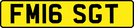 FM16SGT