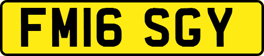 FM16SGY