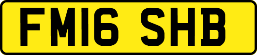FM16SHB