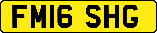 FM16SHG