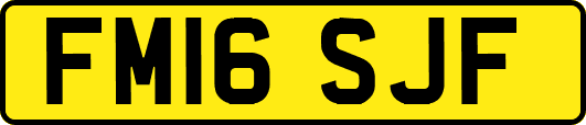 FM16SJF