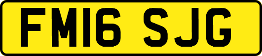 FM16SJG