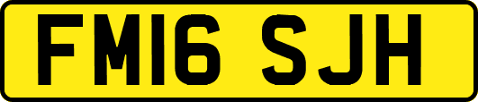 FM16SJH