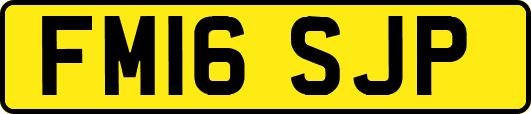 FM16SJP