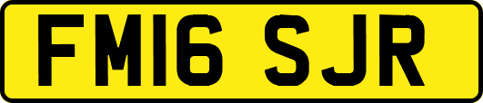 FM16SJR