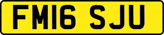 FM16SJU