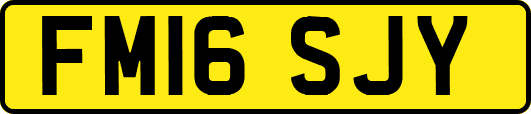 FM16SJY