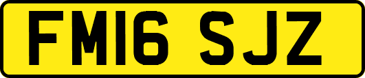 FM16SJZ