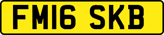 FM16SKB