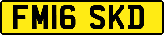 FM16SKD