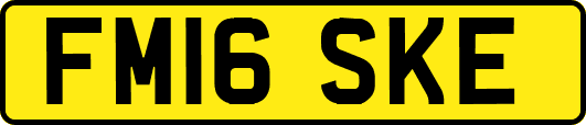 FM16SKE
