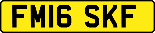 FM16SKF