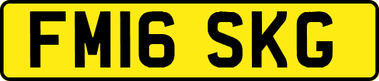 FM16SKG