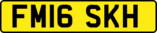 FM16SKH