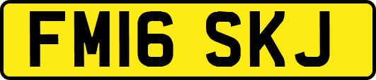 FM16SKJ