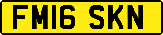 FM16SKN