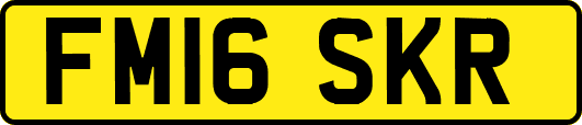 FM16SKR