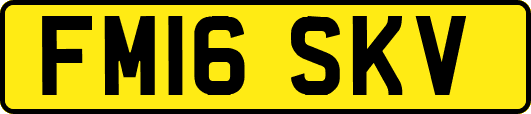FM16SKV