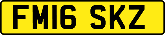 FM16SKZ
