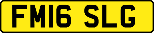 FM16SLG