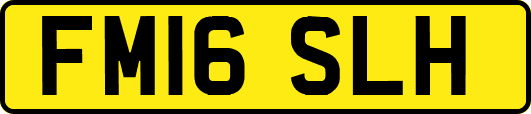 FM16SLH